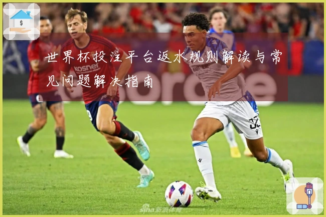 世界杯投注平台返水规则解读与常见问题解决指南