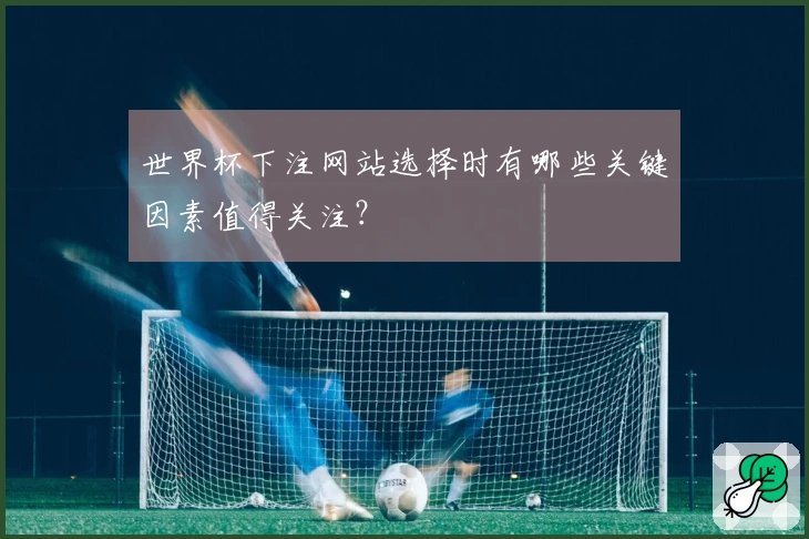 世界杯下注网站选择时有哪些关键因素值得关注？